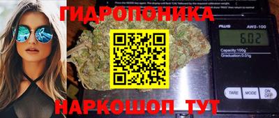 PSILOCYBIN Кулебаки