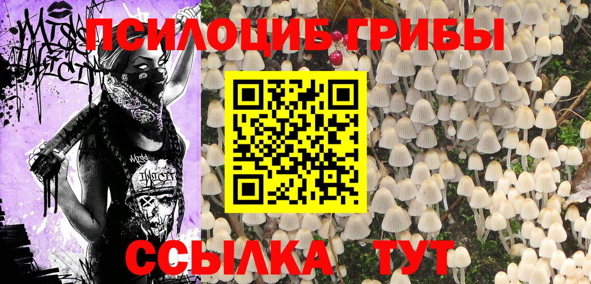 Псилоцибиновые грибы Magic Shrooms  Вход с VPN  Ирбит 